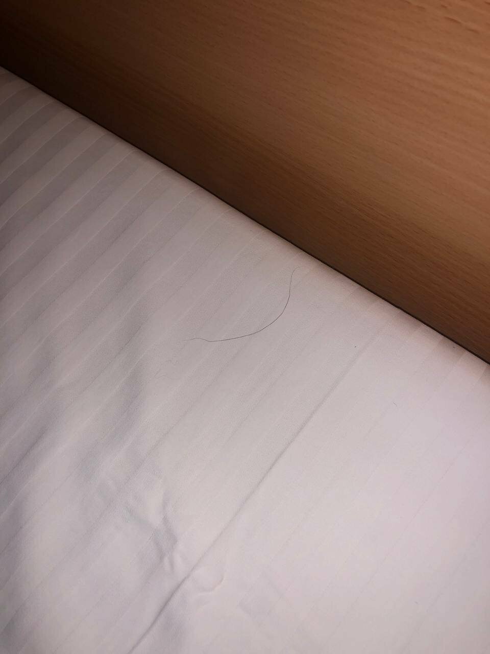 Гостиница Охотник Москва-186