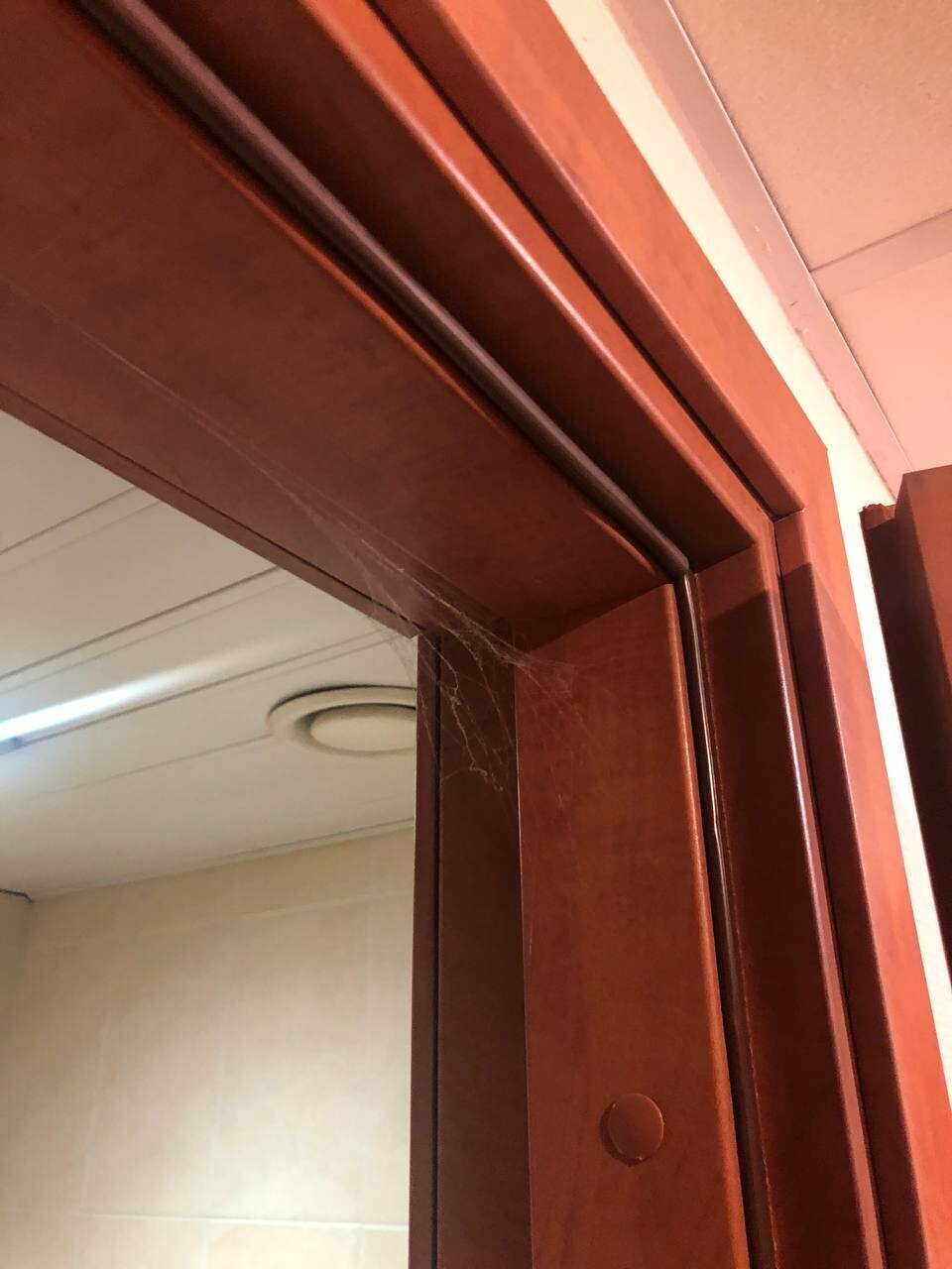 Гостиница Охотник Москва-157