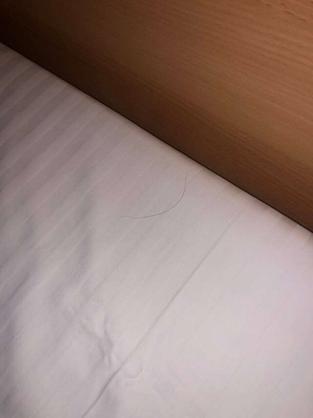 Гостиница Охотник Москва-185